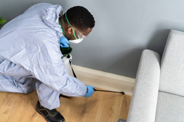 Best Real Estate Pest Inspections  in Exeter, PA